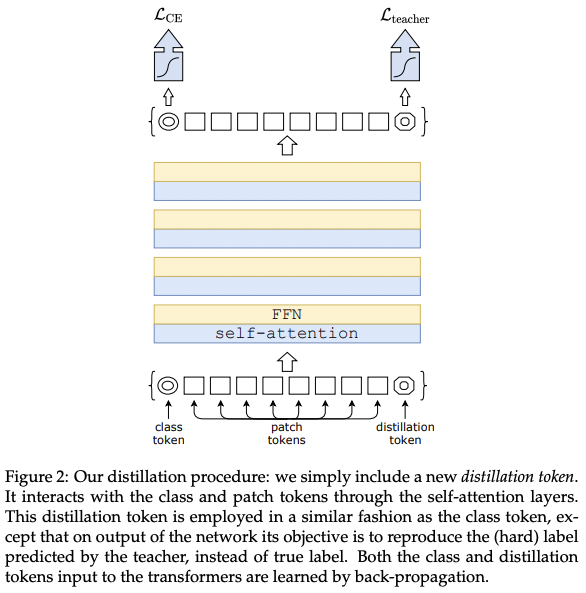 2022-01-18-Training data-efficient image transformers & distillation through attention-2.png