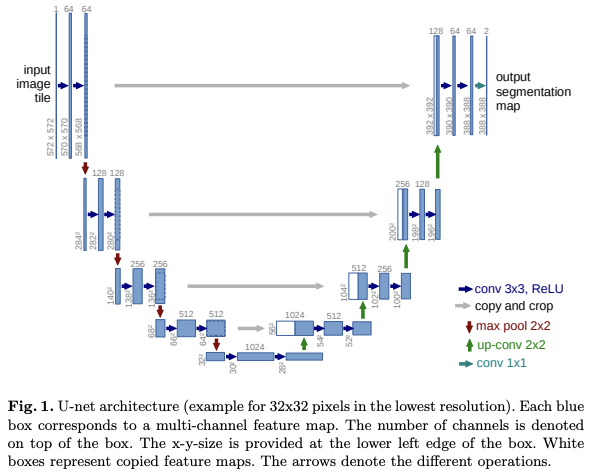 2022-01-24-U-Net: Convolutional Networks for Biomedical Image Segmentation-0.png